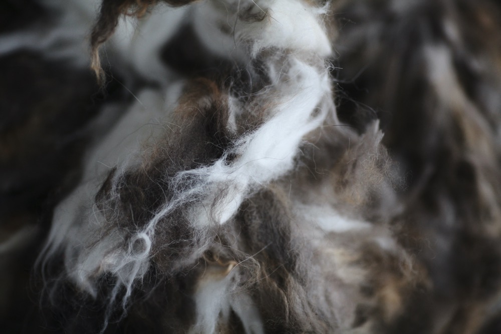 What is Raccoon Fiber? - A novelty animal yarn resource of the